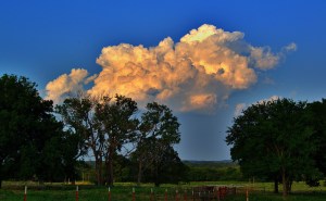 9254453759_62e8303002_z